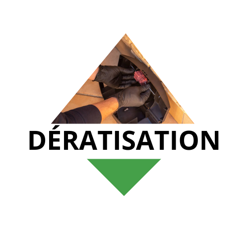 Dératisation